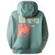 The North Face Γυναικείο φούτερ Outdoor Graphic Hoodie